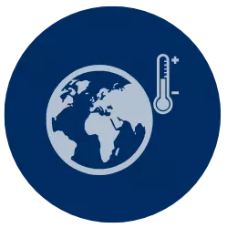 icon1